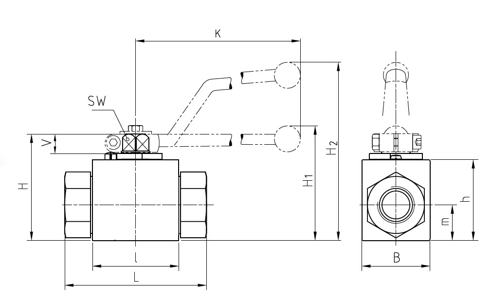 Схема габаритных размеров BKH-G12 DN 13 PN500